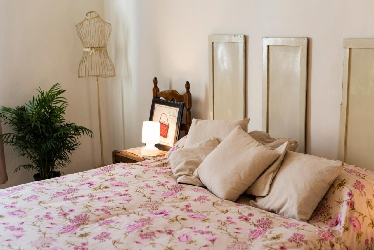 Appartement Il Lucernario Pise